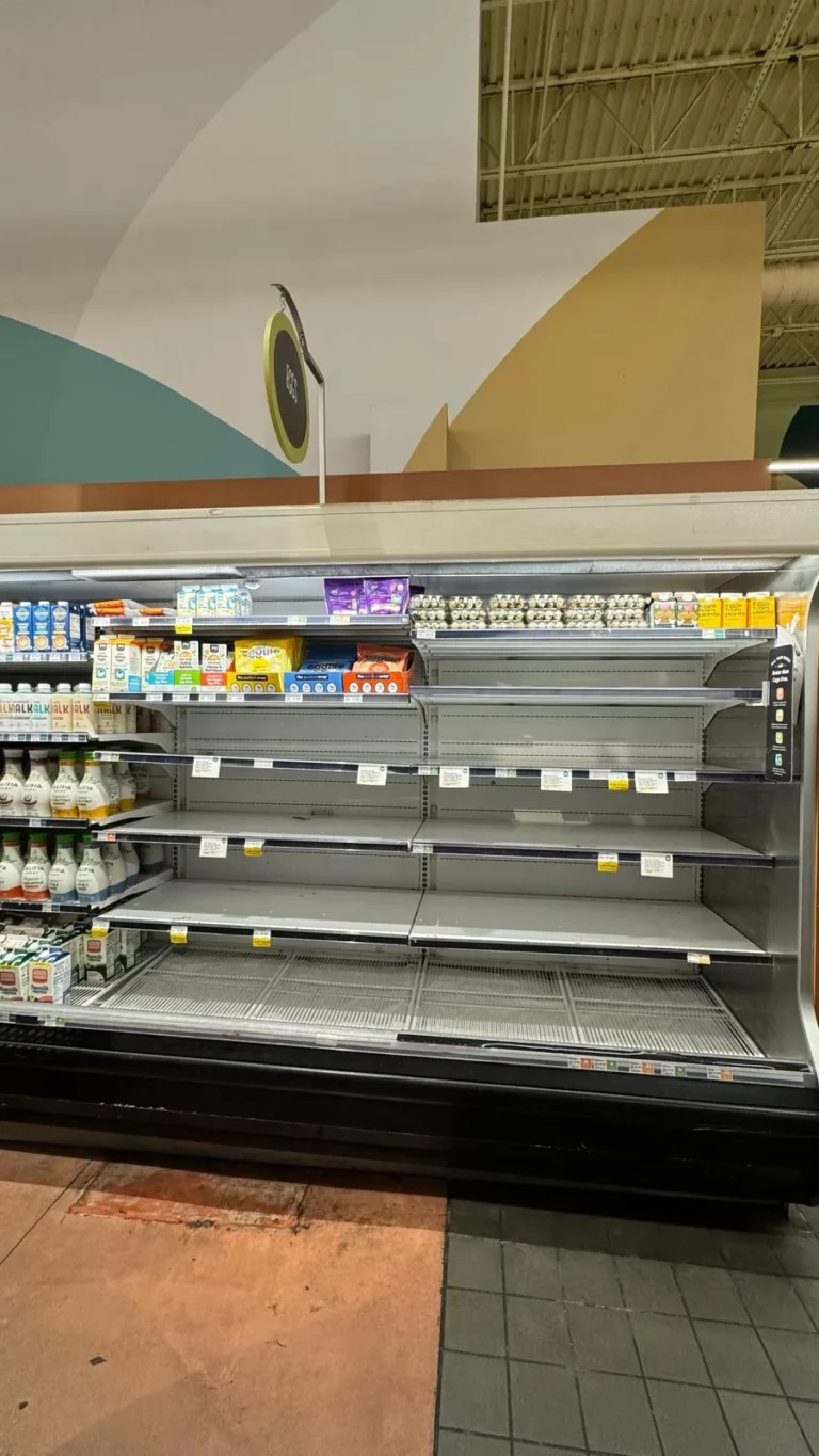 WhatsApp Image 2026-03-02 at 2.31.02 AM (2)